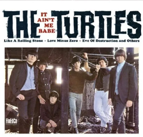 The Classic Turtles 1965-1970 Collectors Series
