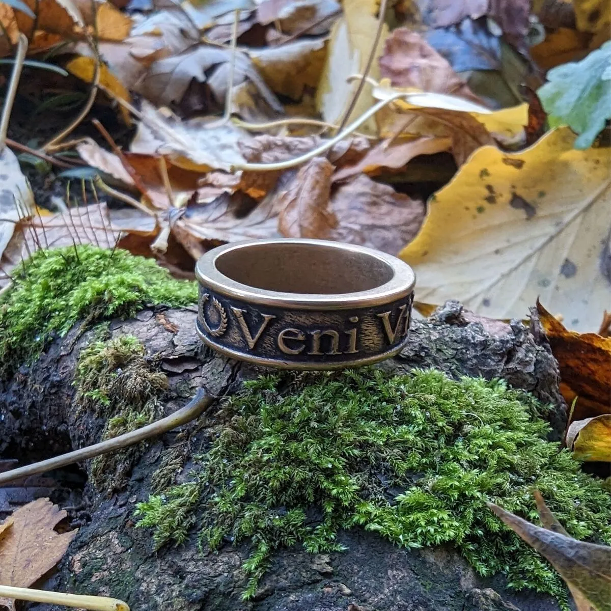 Veni Vidi Vici Roman bronze ring