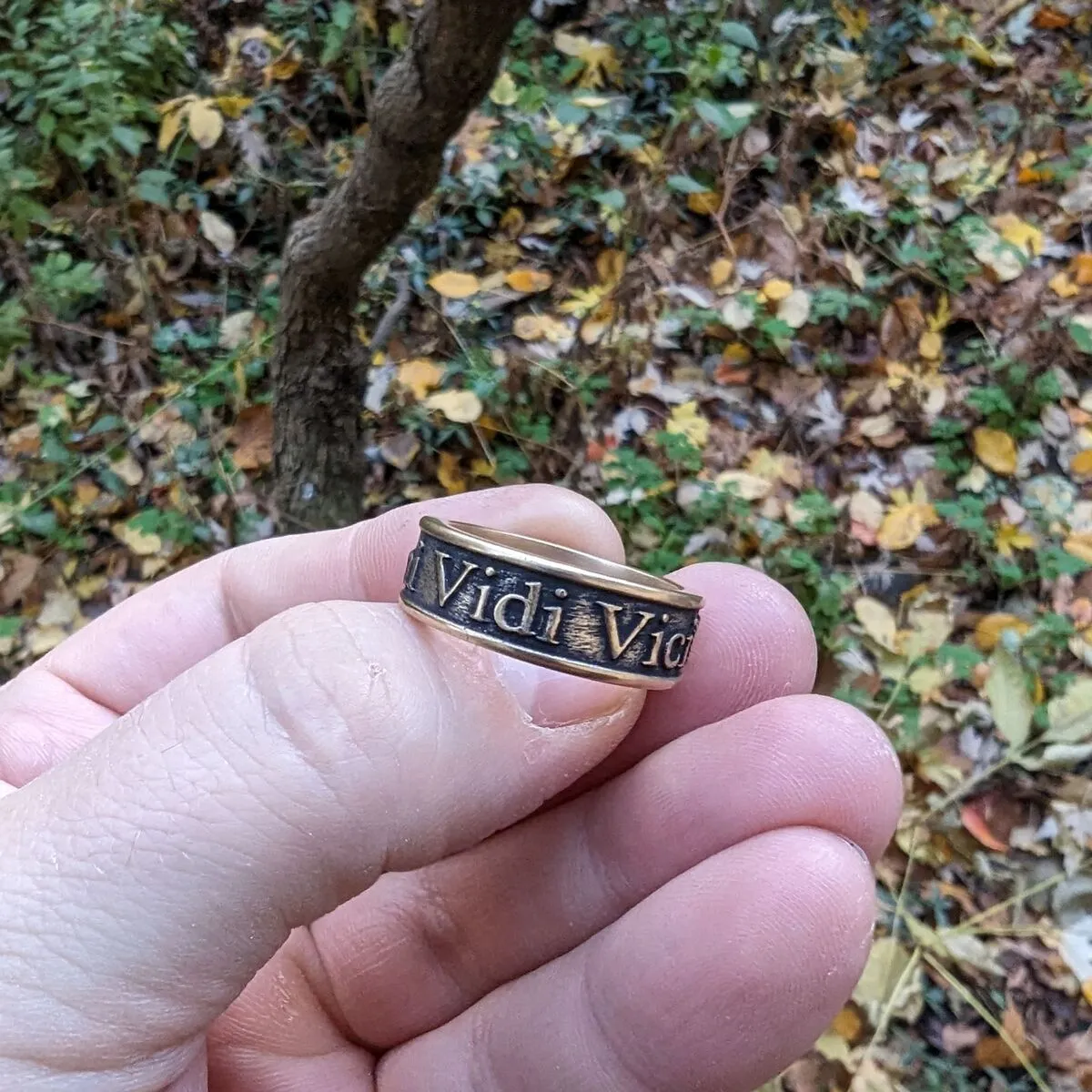 Veni Vidi Vici Roman bronze ring