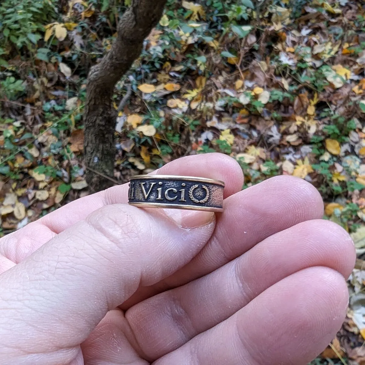 Veni Vidi Vici Roman bronze ring